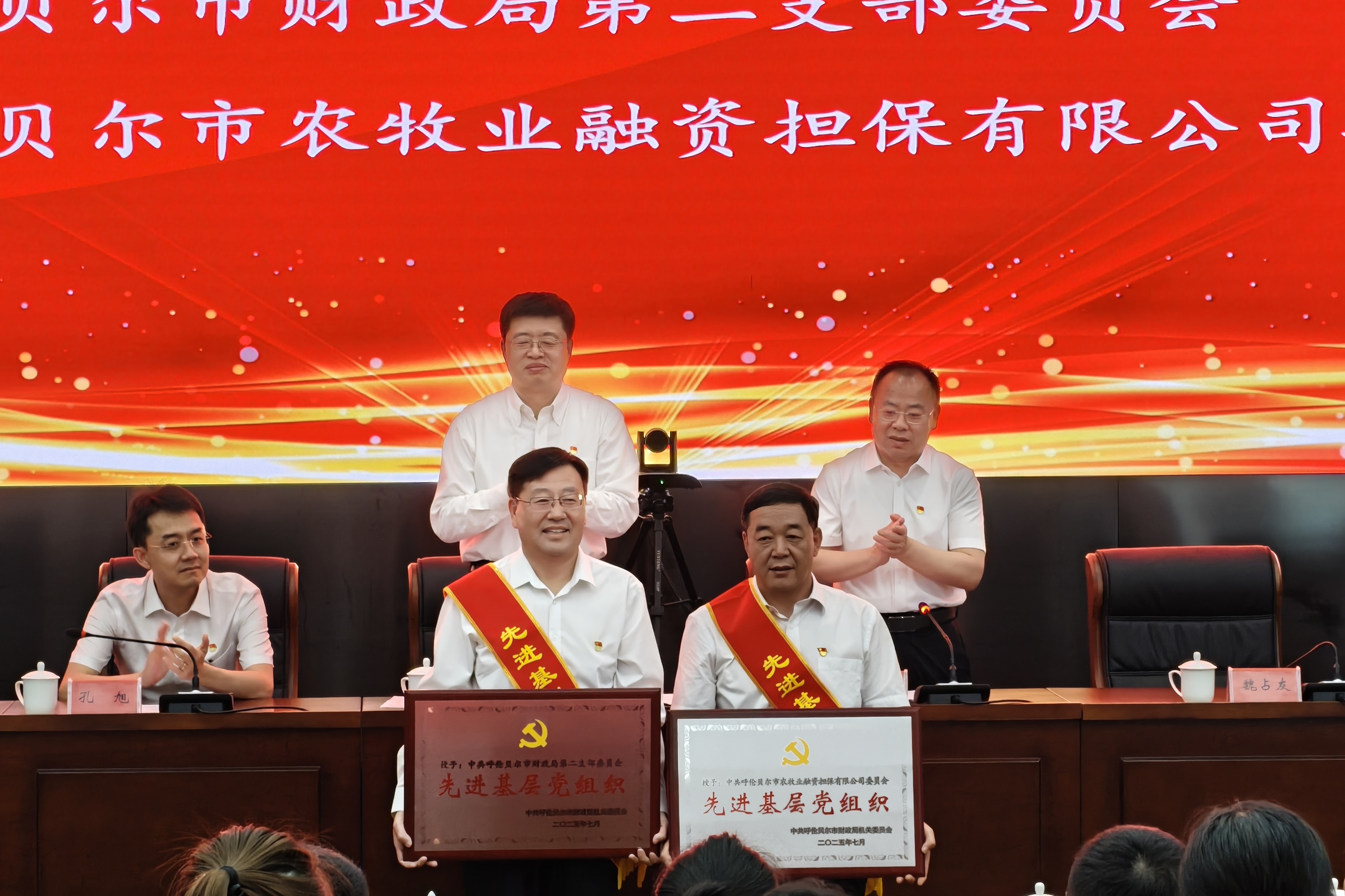 市農(nóng)擔公司黨委榮獲 “先進基層黨組織” 稱號